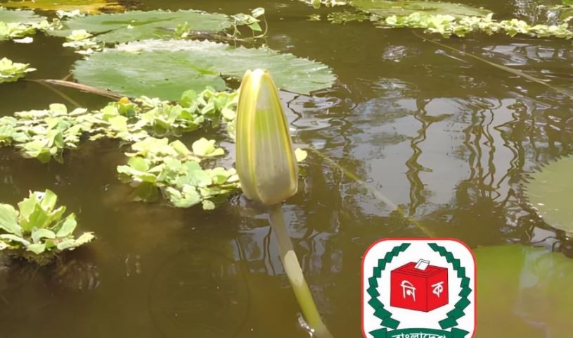 ইসির প্রতীক তালিকায় যুক্ত হলো ‘শাপলা কলি’ ইসির প্রতীক তালিকায় যুক্ত হলো ‘শাপলা কলি’