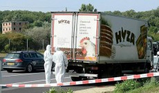 লিবিয়ায় কনটেইনার লরি থেকে বাংলাদেশিসহ ৯০ অভিবাসী উদ্ধার