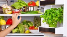 কোন খাবার কতদিন ফ্রিজে রাখবেন?