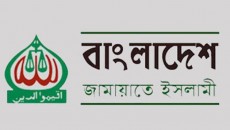 ধানের শীষ প্রতীকে যে ২৫ আসনে নির্বাচন করবে জামায়াত