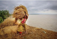 যুক্তরাষ্ট্রের জলবায়ু প্রতিবেদনে বাংলাদেশ নিয়ে উদ্বেগ