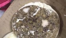 স্কুলে হাজার ডলার বেতন দিয়ে মেলে শুকরের খাবার