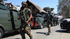 ভারতে নির্বাচনী সহিংসতায় অন্ধ্রপ্রদেশে নিহত ২