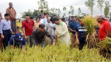 উত্তরাঞ্চলের কৃষকদের ঘরে নেই ঈদ আনন্দ