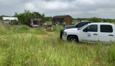 ১৮টি কুকুর মিলে খেয়ে ফেলে মালিককে