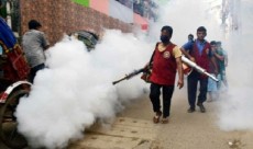 প্রধানমন্ত্রীর নির্দেশনার পর মশা নিধনের আয়োজন