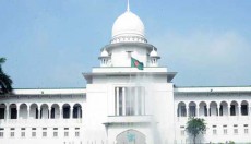 ১৪ কোম্পানির পাস্তুরিত দুধ বিক্রিতে হাইকোর্টের নিষেধাজ্ঞা