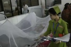 ডেঙ্গু ছড়িয়ে পড়ছে সারা দেশে