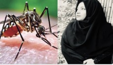 ডেঙ্গুতে মারা গেলেন স্বাস্থ্য মন্ত্রণালয়ের উপ-সচিবের স্ত্রী
