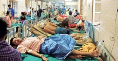 ৫০ জেলায় ডেঙ্গু : প্রতিদিন ভাঙছে রেকর্ড