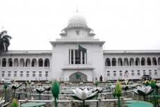 মশা নিধনে সরকারি কর্মচারীরা কী করছেন: প্রশ্ন হাইকোর্টের