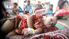 ৬৪ জেলাতেই ছড়িয়ে পড়েছে ডেঙ্গু