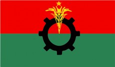 অনলাইনে ডেঙ্গু রোগীদের পরামর্শ দেবে বিএনপি