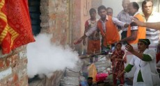 ঢাকায় এডিস মশা নিধনে কেন এই ব্যর্থতা