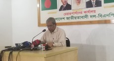 সরকার মিয়ানমারের ইচ্ছা পুরণে কাজ করছে, তাই সমাধান হচ্ছে না : মির্জা ফখরুল