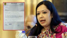 প্লটের আবেদন প্রত্যাহার করে নিলেন রুমিন ফারহানা