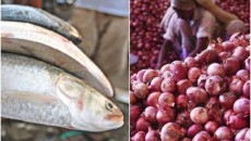 বাংলাদেশের ইলিশ যাচ্ছে ভারত, আসছে না পেঁয়াজ!
