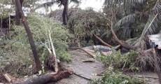 কাটল ঘূর্ণিঝড় বুলবুল শঙ্কা, নামল বিপদ সংকেত