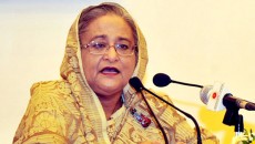 গণতন্ত্রকে প্রাতিষ্ঠানিক রূপ দিতে কাজ করছে সরকার : প্রধানমন্ত্রী