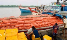 ৩২ টাকায় কেনা পেঁয়াজ ২৩০ টাকায় বিক্রি