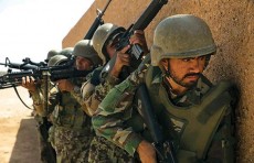 আফগানিস্তানে সামরিক অভিযান, ২৫ জঙ্গি নিহত