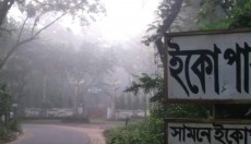 দেশের সর্বনিম্ন তাপমাত্রা শ্রীমঙ্গলে