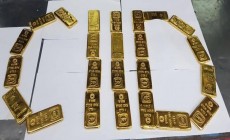 বিমানের সিটের হাতলে ২৪ কেজি সোনা