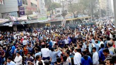 খালেদা জিয়ার মুক্তির ব্যাপারে সরকার সহযোগিতা করেনি : ফখরুল