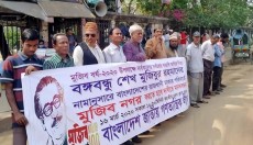 ঢাকার নাম পরিবর্তন করে ‘মুজিবনগর’ করার দাবি