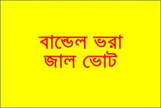 বান্ডেল ধরে জাল ভোট