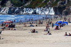 করোনা সংক্রমণ রোধে সৈকতগুলো বন্ধ করতে চান গভর্নর নিউসাম