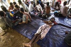 ইন্দোনেশিয়ায় বাংলাদেশিসহ ৪০০ অভিবাসী উদ্ধার