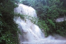 হাম-হাম জলপ্রপাত: পাহাড়ের বুকে ঝর্ণার মিতালী
