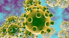 দেশে প্রতিদিন ভাঙছে আক্রান্তের রেকর্ড: আজ শনাক্ত ২৫৪৫, মৃত্যু ৪০