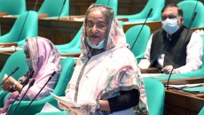 করোনা মোকাবিলার পাশাপাশি স্বাভাবিক জীবনযাপনের চেষ্টা অব্যাহত থাকবে: প্রধানমন্ত্রী