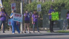 স্ট্যাফ বৃদ্ধির দাবিতে রিভারসাইড হাসপাতালের নার্সদের ধর্মঘট