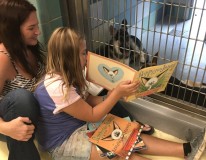 করোনায় অর্থাভাবে স্থায়ীভাবে বন্ধ হলো রিভারসাইড কাউন্টি পশু আশ্রম