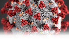 ক্যালিফোর্নিয়ায় করোনায় ফিলিপিনো আমেরিকানদের মৃত্যু হার উদ্বেগজনক