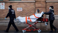 যুক্তরাষ্ট্রে আগস্টে করোনায় মৃত্যু ১ লাখ ৭৫ হাজার ছাড়াবে