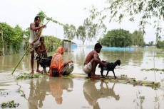 ভারত নদীর বাঁধ খুলে দেওয়ায় পানি ঢুকছে বাংলাদেশে