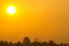 ক্যালিফোর্নিয়ার তাপমাত্রা ৫০° সেলসিয়াস হওয়ার আশঙ্কা