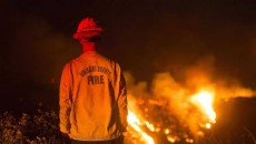 কমছে অ্যাপল ফায়ারের প্রকোপ, ফিরতে পারবে বাসিন্দারা