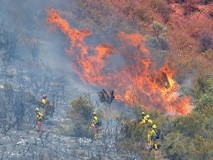 কিছুটা নিয়ন্ত্রনে এসেছে এঞ্জেলেস ন্যাশনাল ফরেস্টের দাবানল