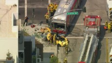 লস এঞ্জেলেসে সড়ক দুর্ঘটনায় আহত ১৪