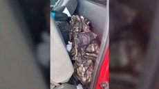 ২ মিলিয়ন ডলারের মাদকসহ আরিজোনা সীমান্তে ২ কিশোর গ্রেফতার