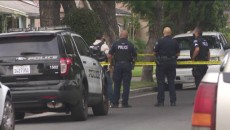 ক্যালিফোর্নিয়ায় গুলিবিদ্ধ হয়ে নারীর মৃত্যু, স্বামী আটক