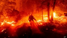 গরম ও শুষ্ক ঝড়ো বাতাসে আরো তীব্র হবে ক্যালিফোর্নিয়ার দাবানল!