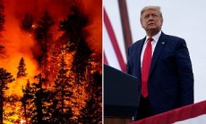 ক্যালিফোর্নিয়ার দাবানল: পরিস্থিতি পর্যবেক্ষণে সফরে যাচ্ছেন ট্রাম্প