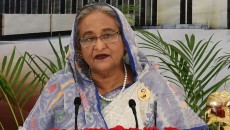 করোনা মোকাবেলায় স্বাস্থ্য মন্ত্রণালয় দক্ষতার পরিচয় দিয়েছে: প্রধানমন্ত্রী