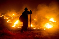 তীব্র হচ্ছে ক্যালিফোর্নিয়ার 'ববক্যাট ফায়ার'